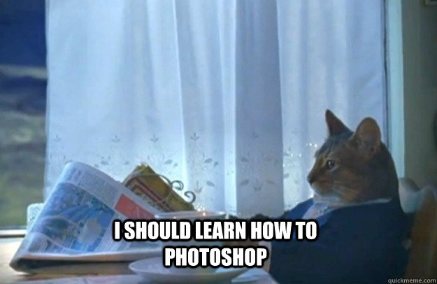 I should learn how to photoshop  Sophisticated Cat
