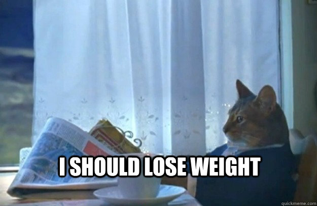  I should lose weight  Sophisticated Cat