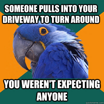 Someone pulls into your driveway to turn around you weren't expecting anyone  Paranoid Parrot