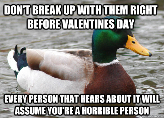 Don't break up with them right before valentines day Every person that hears about it will assume you're a horrible person  Actual Advice Mallard