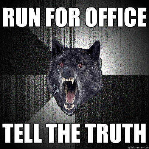 RUN FOR OFFICE Tell the truth - RUN FOR OFFICE Tell the truth  Insanity Wolf