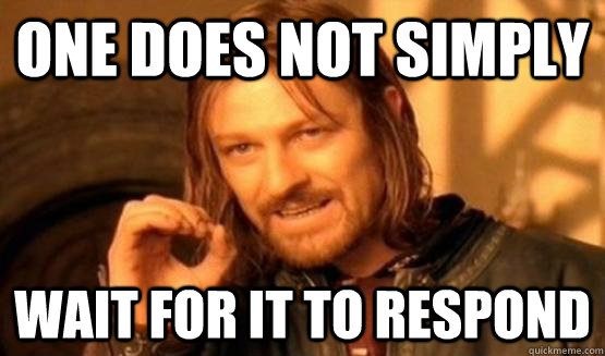 One does not simply wait for it to respond  ONe does not simply date eyecandy