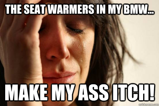 the seat warmers in my bmw... make my ass itch!  First World Problems