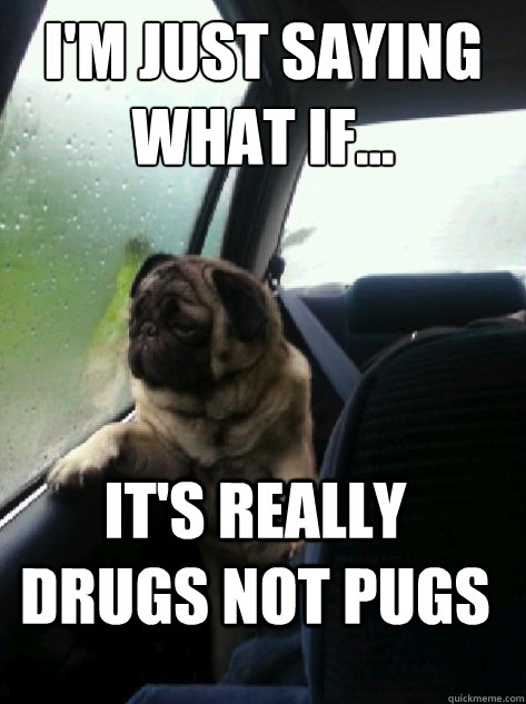 I'm just saying what if... It's really drugs not pugs  Introspective Pug