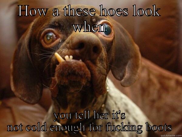 HOW A THESE HOES LOOK WHEN YOU TELL HER IT'S NOT COLD ENOUGH FOR FUCKING BOOTS Misc