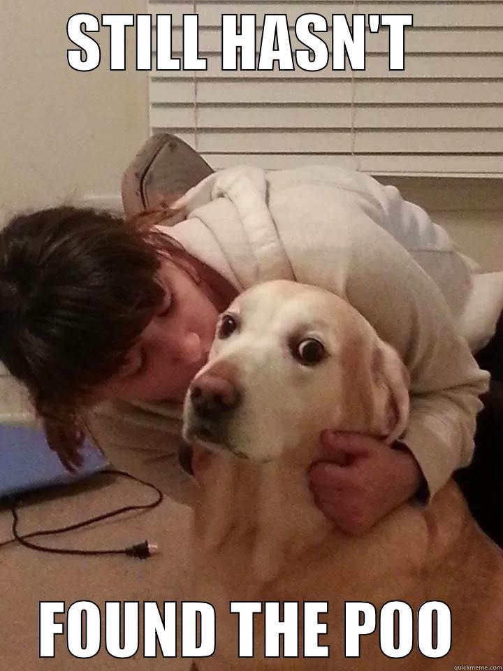 STILL HASN'T  FOUND THE POO Misc