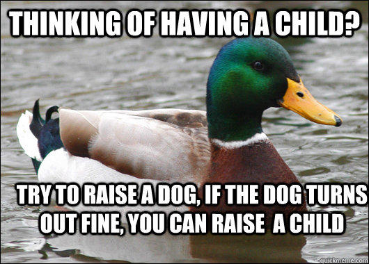 Thinking of having a child? Try to raise a dog, if the dog turns out fine, you can raise  a child - Thinking of having a child? Try to raise a dog, if the dog turns out fine, you can raise  a child  Actual Advice Mallard