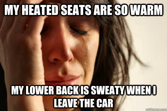 My heated seats are so warm my lower back is sweaty when i leave the car  First World Problems
