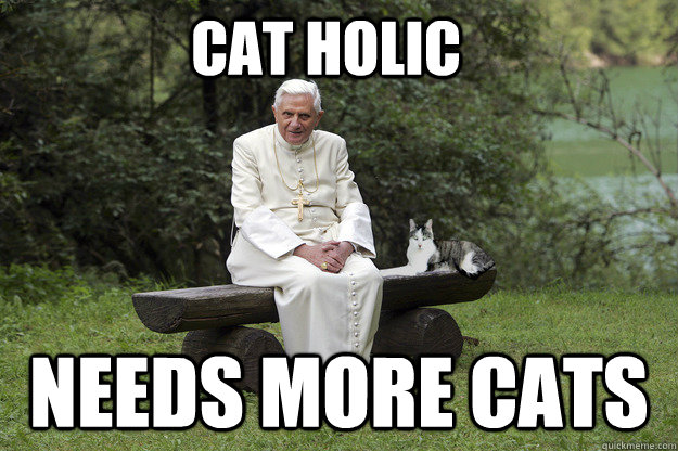 Cat holic needs more cats - Cat holic needs more cats  pope cat