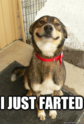  I just farted  Good Dog Greg