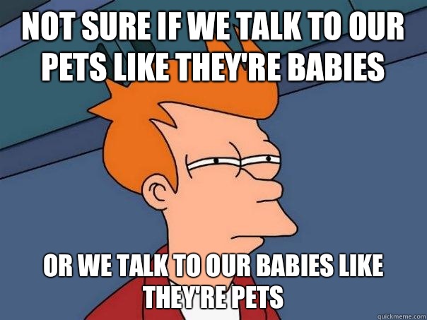Not sure if We talk to our pets like they're babies Or we talk to our babies like they're pets  Futurama Fry