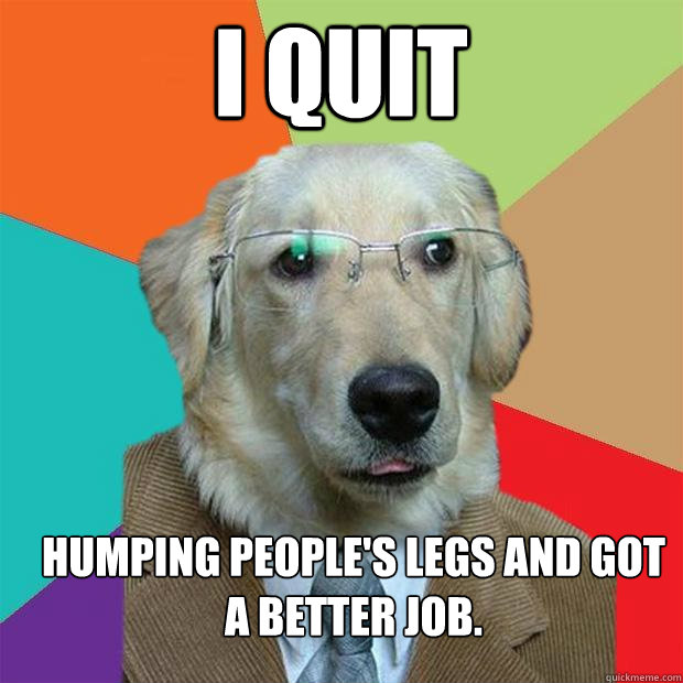 I quit
 Humping people's legs and got a better job.  Business Dog