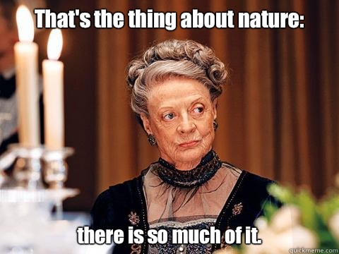 That's the thing about nature: there is so much of it.  Downton Abbey