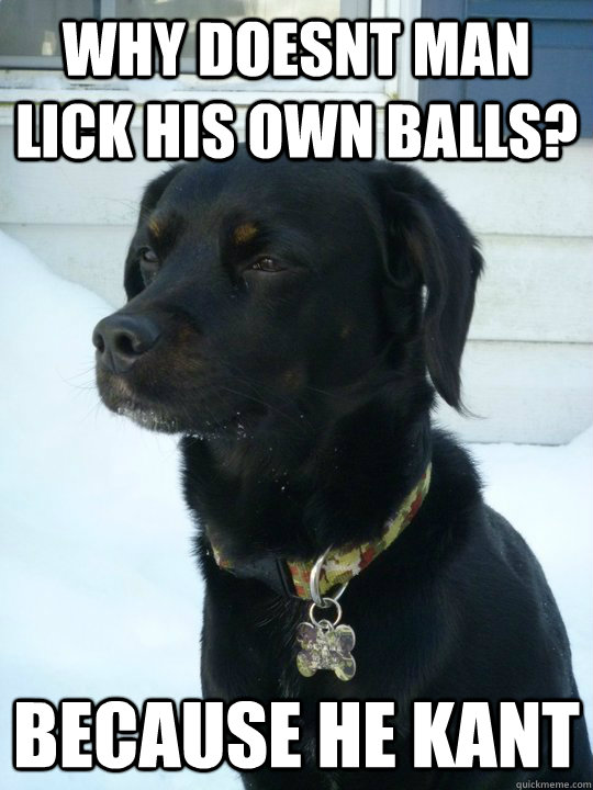 Why doesnt man lick his own balls? Because He Kant  Philosophical Puppy