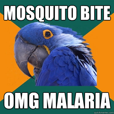 Mosquito bite OMG MALARIA  Paranoid Parrot
