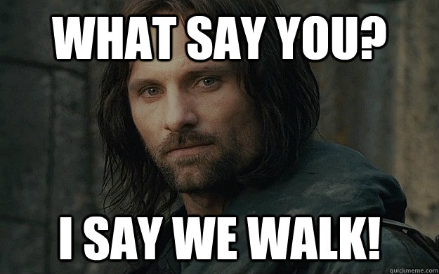 What say you? I say WE WALK! - What say you? I say WE WALK!  Walk For Life Aragorn