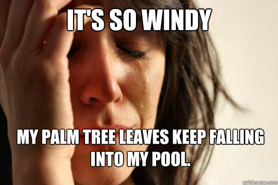 It's so windy My Palm tree leaves keep falling into my pool.  First World Problems