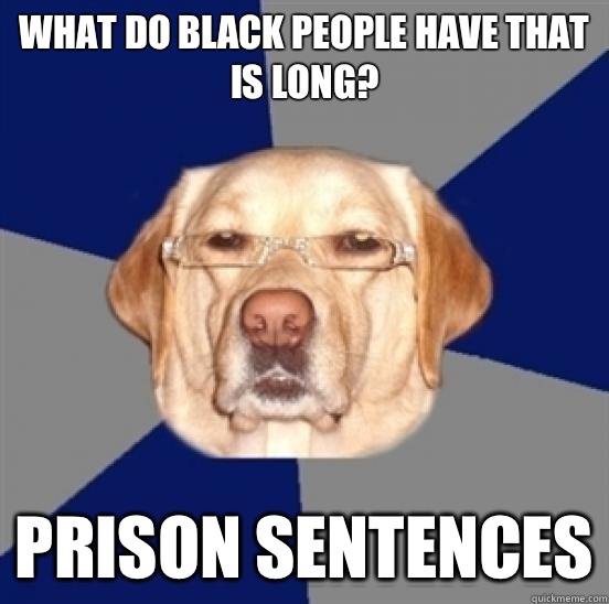 What do Black people have that is long? Prison Sentences  Racist Dog