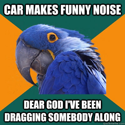 Car makes funny noise Dear god I've been dragging somebody along  Paranoid Parrot