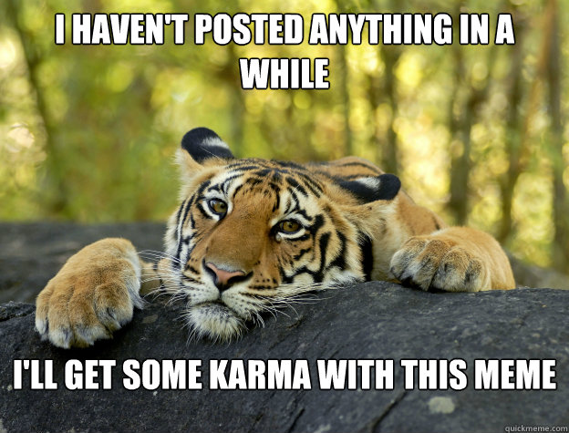 i haven't posted anything in a while i'll get some karma with this meme - i haven't posted anything in a while i'll get some karma with this meme  Confession Tiger