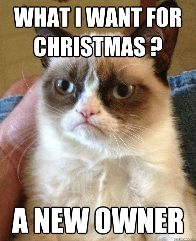 what i want for Christmas ? a new owner - what i want for Christmas ? a new owner  Grumpy Cat