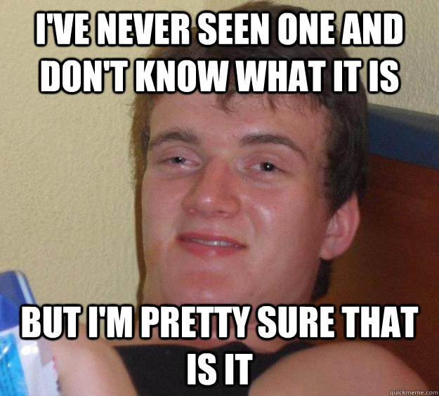 I've never seen one and don't know what it is But i'm pretty sure that is it   10 Guy