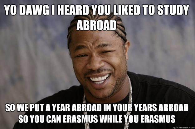 Yo dawg i heard you liked to study abroad so we put a year abroad in your years abroad so you can erasmus while you erasmus  Xzibit meme