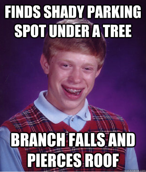 Finds shady parking spot under a tree Branch falls and pierces roof  Bad Luck Brian