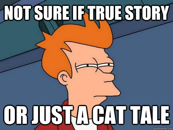 Not sure if true story Or just a cat tale  Futurama Fry