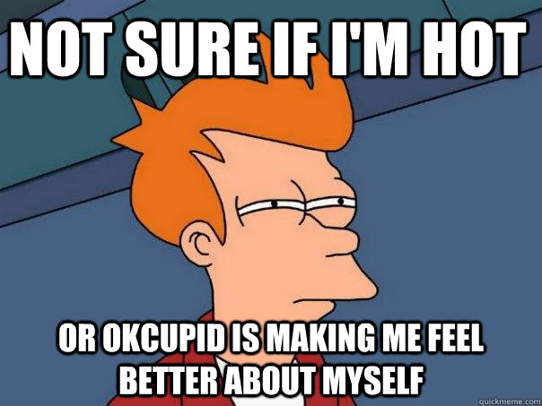 Not sure if I'm hot  Or Okcupid is making me feel better about myself  Futurama Fry
