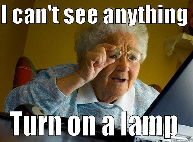 I CAN'T SEE ANYTHING  TURN ON A LAMP Grandma finds the Internet