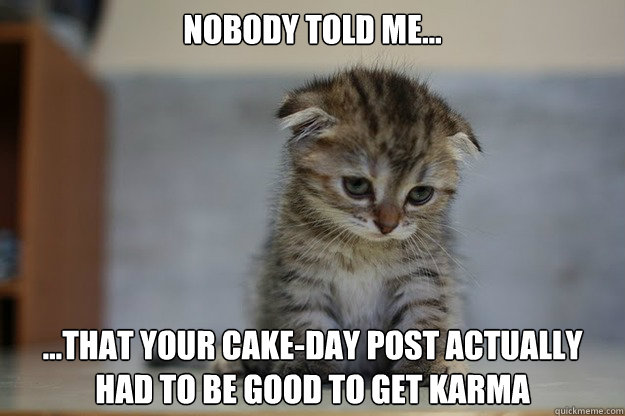 Nobody told me... ...that your cake-day post actually had to be good to get karma - Nobody told me... ...that your cake-day post actually had to be good to get karma  Sad Kitten