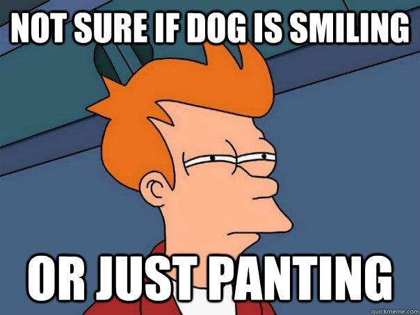 Not sure if dog is smiling Or just panting  Futurama Fry