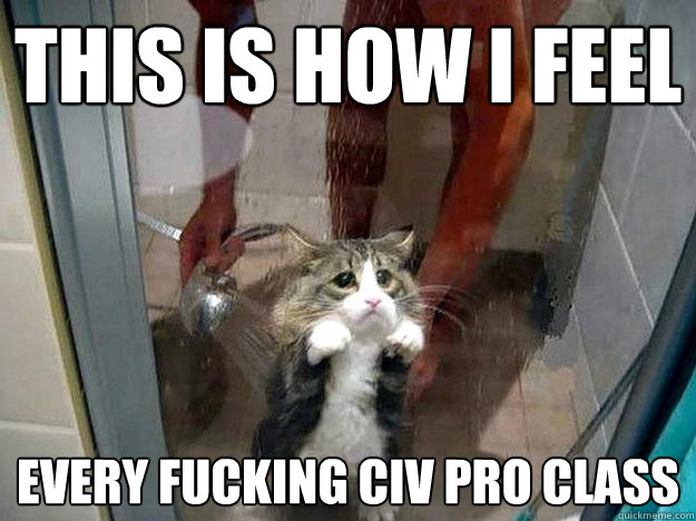 This is how I feel every fucking civ pro class  Shower kitty