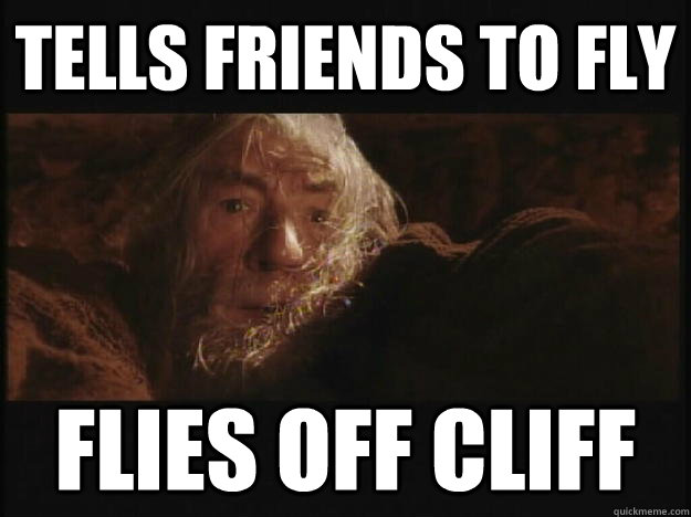 Tells friends to fly  Flies off Cliff  Literal Meaning Gandalf