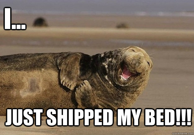 I... Just shipped my bed!!!  Sea Lion Brian