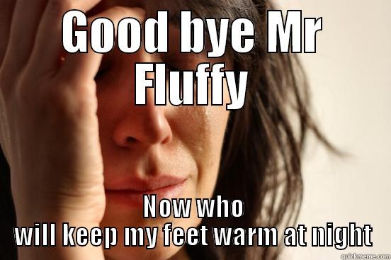 GOOD BYE MR FLUFFY NOW WHO WILL KEEP MY FEET WARM AT NIGHT First World Problems