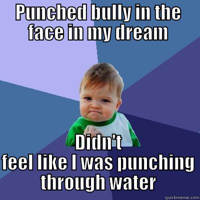 PUNCHED BULLY IN THE FACE IN MY DREAM DIDN'T FEEL LIKE I WAS PUNCHING THROUGH WATER Success Kid