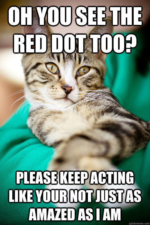 oh you see the red dot too? Please keep acting like your not just as amazed as I am - oh you see the red dot too? Please keep acting like your not just as amazed as I am  Misc