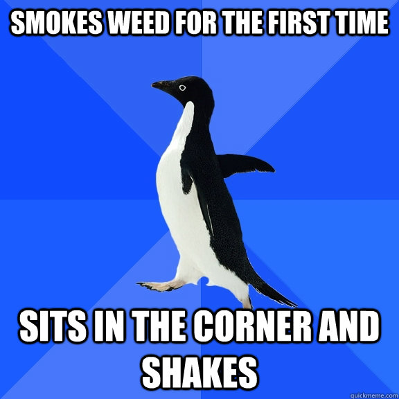 Smokes weed for the first time Sits in the corner and shakes  Socially Awkward Penguin