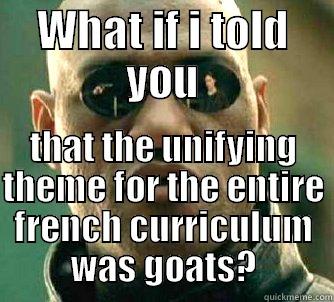 WHAT IF I TOLD YOU THAT THE UNIFYING THEME FOR THE ENTIRE FRENCH CURRICULUM WAS GOATS? Matrix Morpheus