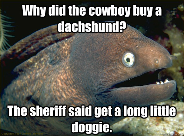 Why did the cowboy buy a dachshund? The sheriff said get a long little doggie.  Bad Joke Eel