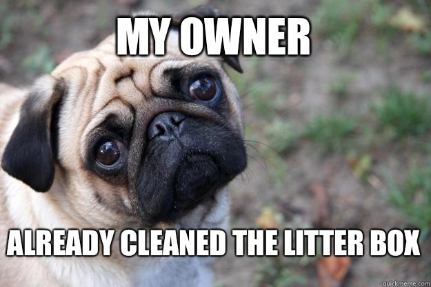 My owner Already cleaned the litter box - My owner Already cleaned the litter box  Misc