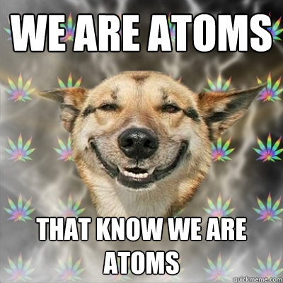 We are atoms That know we are atoms - We are atoms That know we are atoms  Stoner Dog