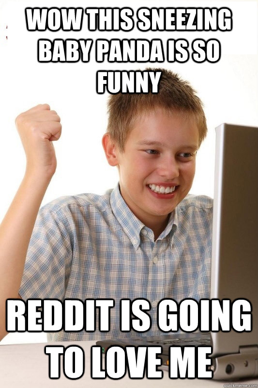 wow This sneezing baby panda is so funny Reddit is going to love me  1st Day Internet Kid