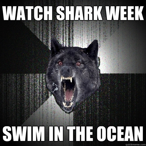 Watch Shark Week swim in the ocean  Insanity Wolf