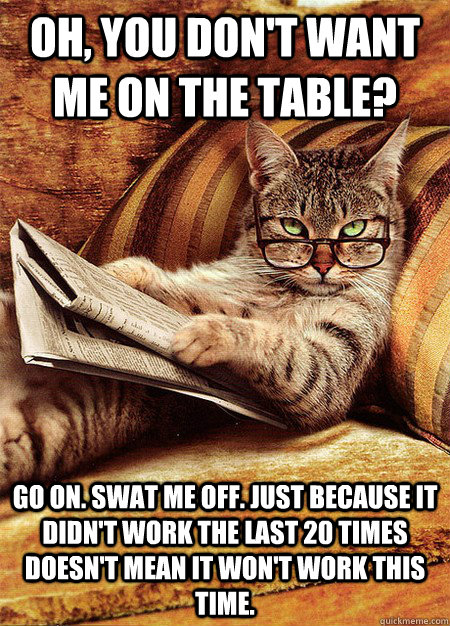 Oh, you don't want me on the table? Go on. Swat me off. Just because it didn't work the last 20 times doesn't mean it won't work this time. - Oh, you don't want me on the table? Go on. Swat me off. Just because it didn't work the last 20 times doesn't mean it won't work this time.  Misc