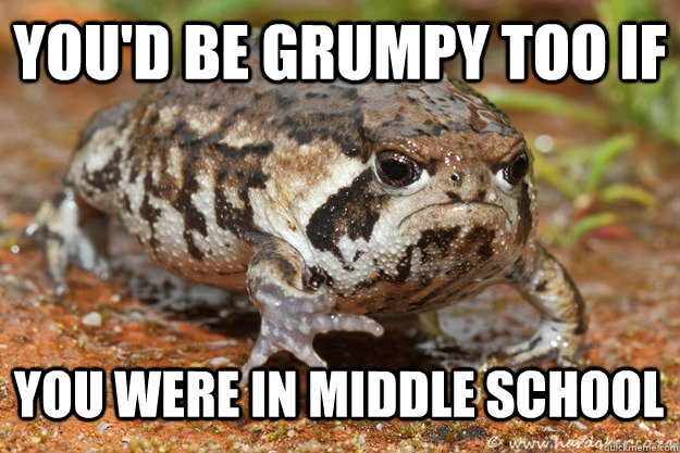 you'd be grumpy too if  you were in middle school - you'd be grumpy too if  you were in middle school  Misc