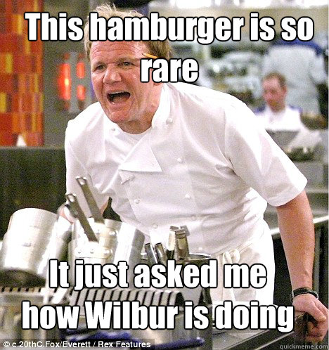 It just asked me how Wilbur is doing This hamburger is so rare  