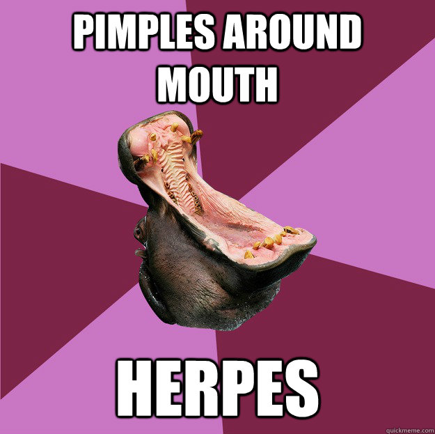 pimples around mouth herpes - pimples around mouth herpes  Hypochondriac Hippo